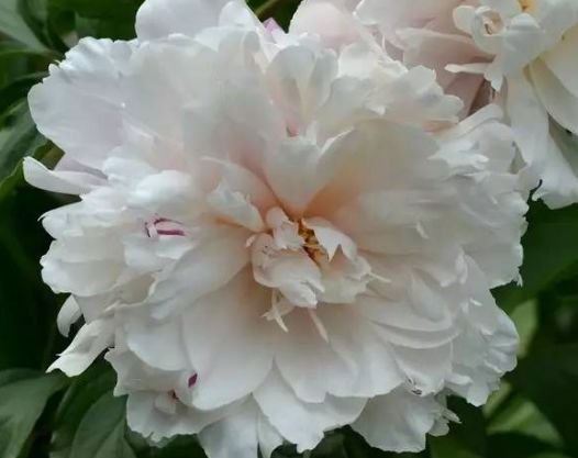 |11月1号开始，4属相好运不断，八方来财，生活一帆风顺