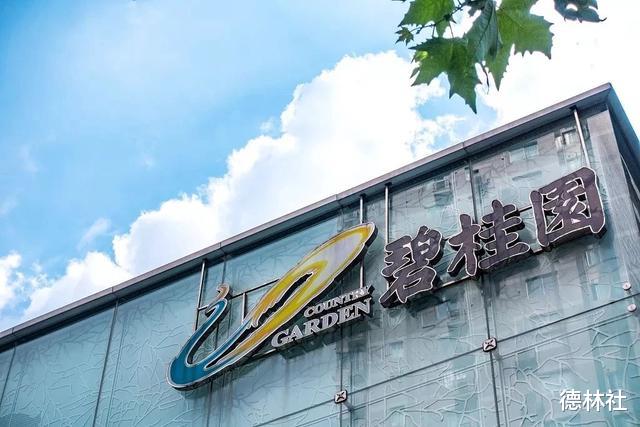 碧桂园年终交卷：它是如何做到稳坐龙头的？