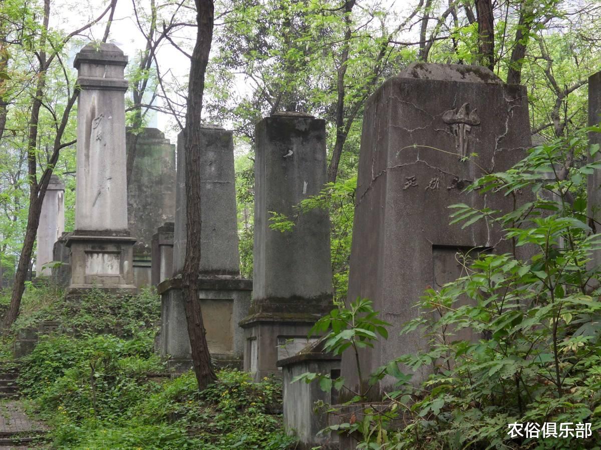 密山|比起厕改和土地改革,坟地改革是最难实行的,暴力平坟更是不可取