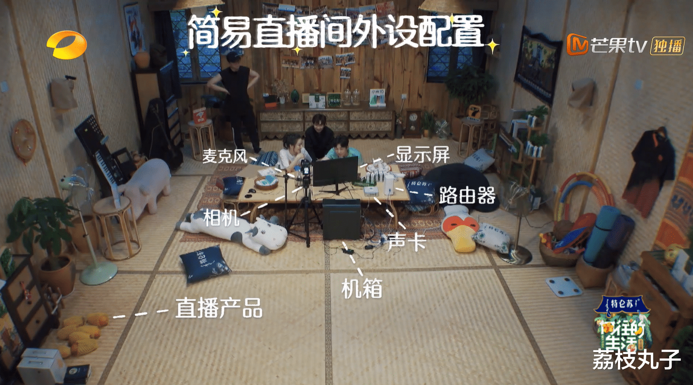 薇娅@向往的生活：薇娅的直播间原来长这样，连路由器都不一般