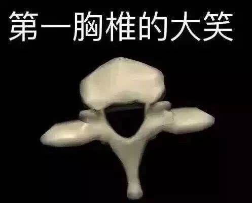 #表情包#大学专业的表情包合集 哪个专业才是最苦的？