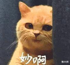 操作系统|小米荣耀互相嘲讽，碰瓷营销何时是个头？