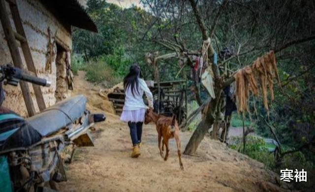 『』十万大山里的六口之家，与外界隔绝，孩子每天任务：放羊采蘑菇！