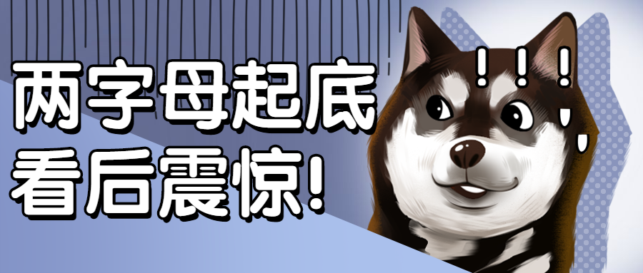 域名|两字母域名大起底，国人持有161个占了24%！
