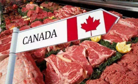 猪肉|真的被制裁了?阿根廷突然宣布,延迟与华签署猪肉出口协议!