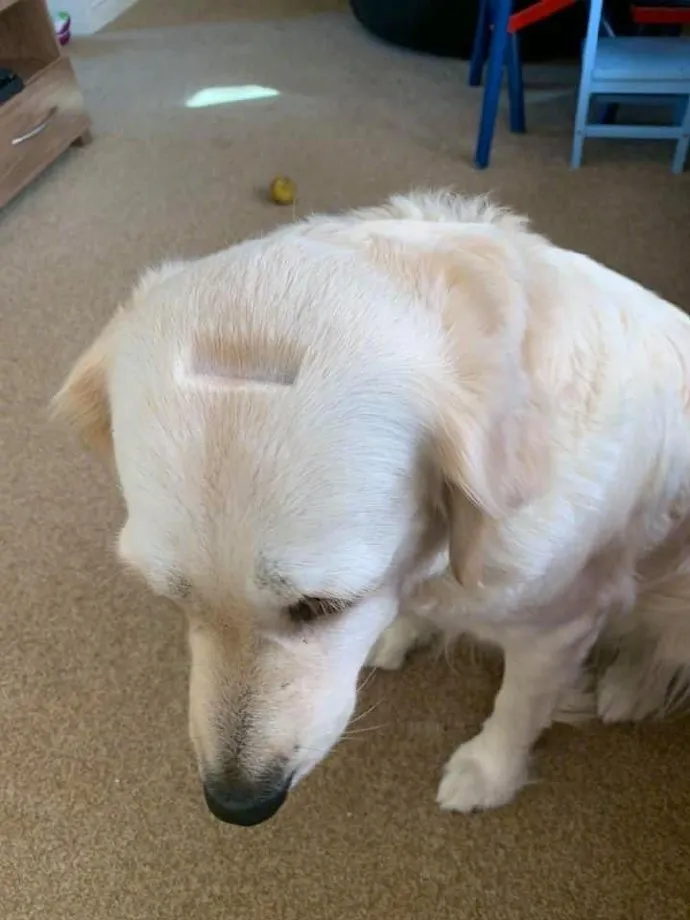 『』这样的情形,一般人根本把持不住~