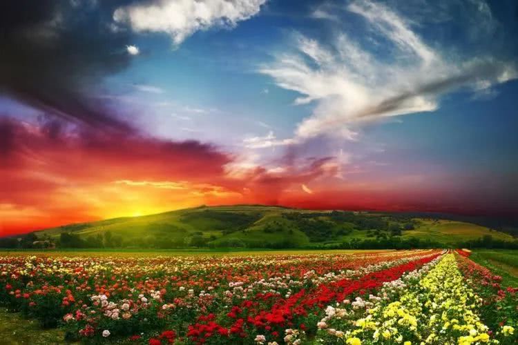 运势▲6月未来7天,财运不请自来,3大属相贵人辅佐,终于熬出头