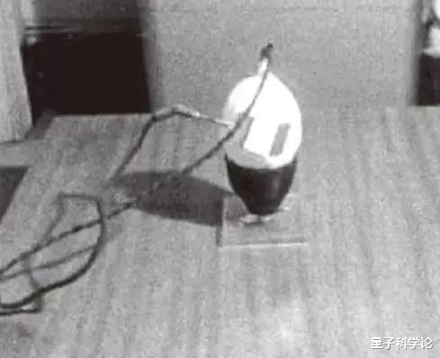 量子力学|一次普通的植物实验,得出颠覆认知的结果,让人怀疑宇宙