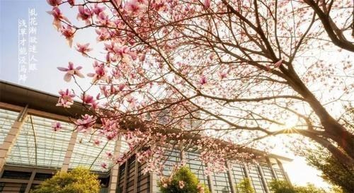 郑强|网红校长郑强有多刚？抵制企业家进校演讲，建议把英语踢出高考！