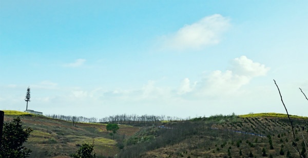 「」高考失利，进入非985、211的双非学校的我们，现在过的究竟怎么样？