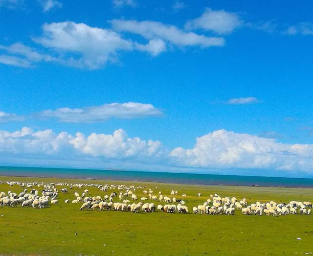 农业银行 蒙古整体经济下滑明显,全国GDP不及内蒙一个县,网友:要不回归