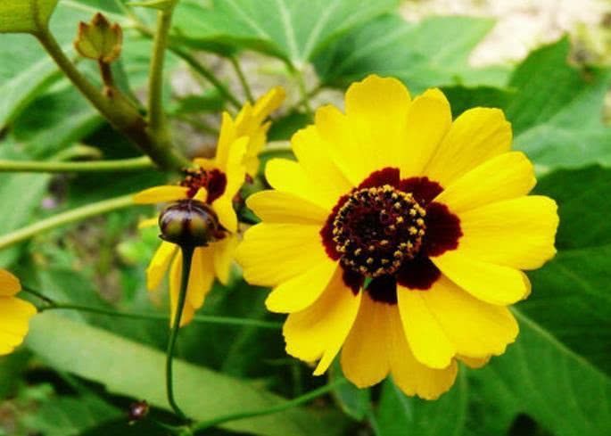 健康运势|10月开始，财源滚滚，机遇多多，富贵临门的四大属相