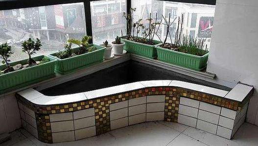 ▲老公在阳台上做了一个鱼缸，发到小区业主群，第二天就找上门！