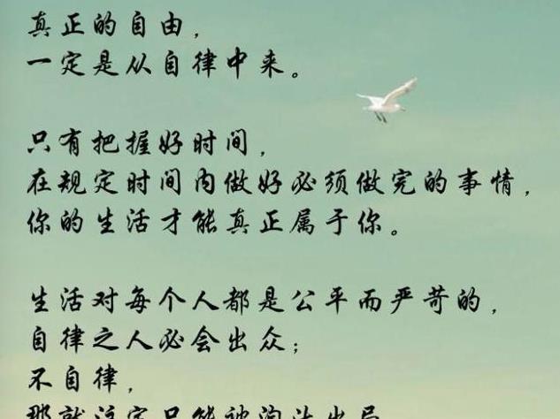 「」北大才女刘媛媛最年轻的CEO, “寒门贵子”自律,由差等生变优等生