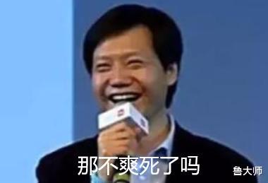 华为|假如手机厂商都说真话：iPhone篇