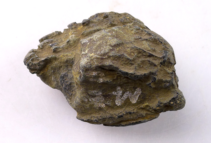 翡翠|翡翠行话一一赌石真的可以“十大九不输”吗？