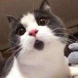 半岛晨报|100多户人家水龙头流出60度热水！整整持续了三年