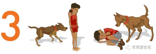 半岛晨报|男子凌晨误入山中被野狗逼上绝路，打开手机闪光灯发现在墓地里