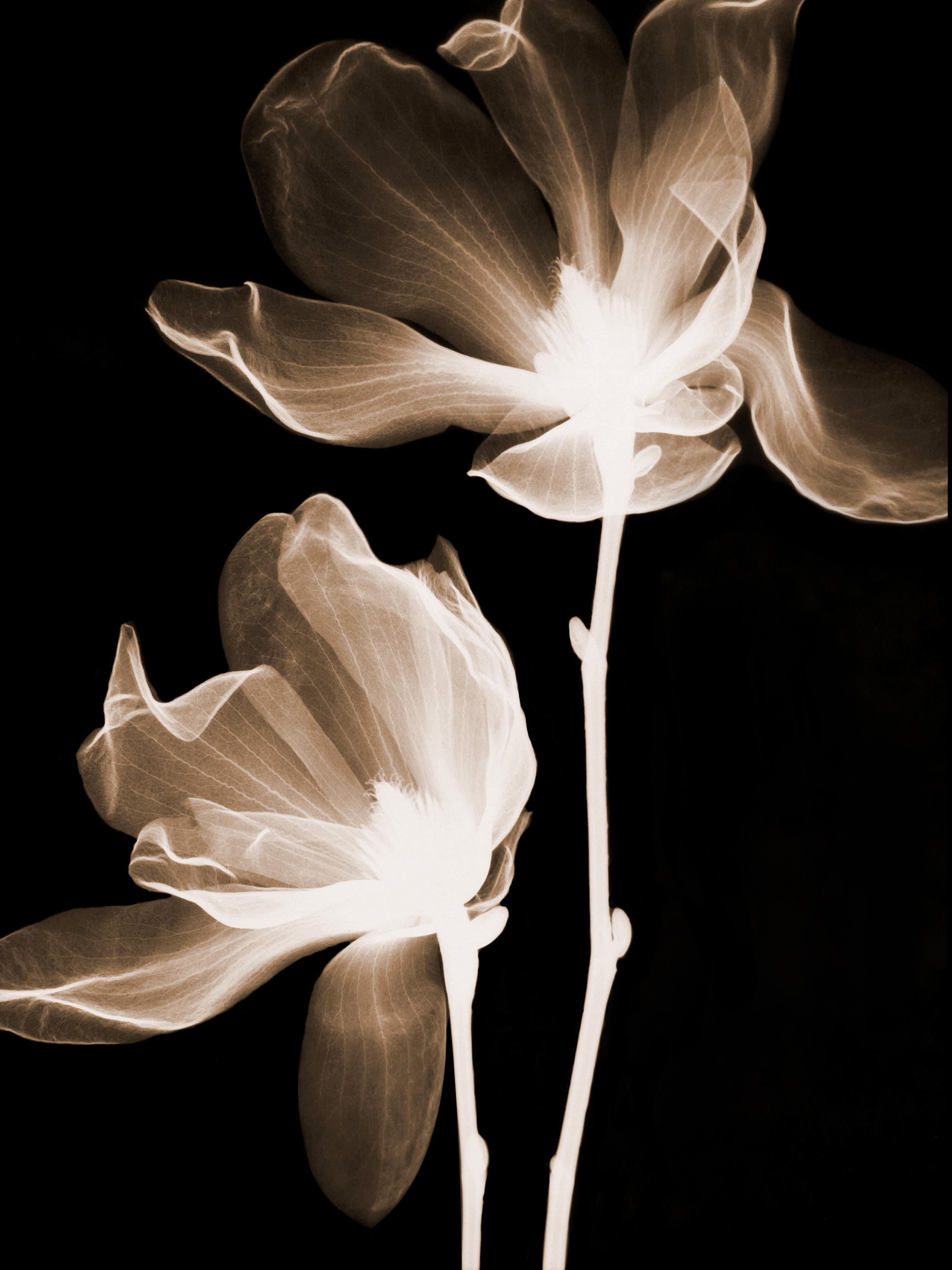 人与人|人类的核心，就是生存与繁殖。