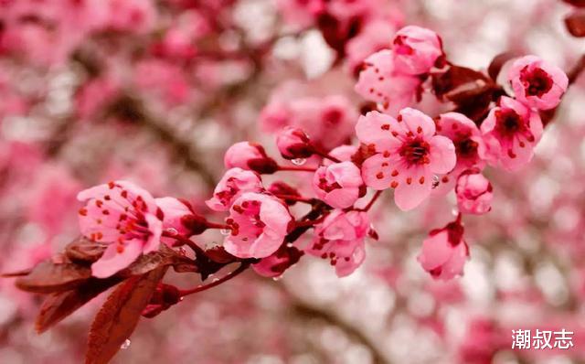 [生肖]6月29号，以下3生肖事业节节高升，遇贵人走大吉运，翻身之时到来
