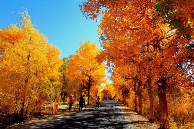 胡杨林|再过30天，全世界都要羡慕死中国了