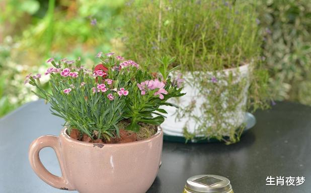 生肖|9月下旬，财神入宅，门庭兴旺，4生肖事业步步高升，富贵挡不住