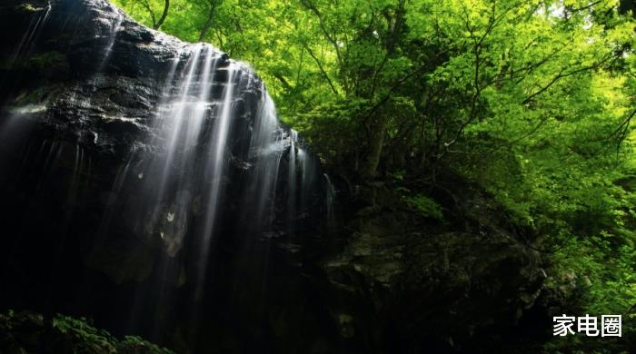 315晚会|今年央视315晚会除了曝光消费陷阱，还点明小家电的新商机！