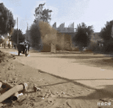 社会尘缘 姑娘，你怎么能亲那呢？看你男朋友都不乐意了？