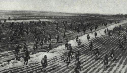 林彪|此战是林彪毕生最畅快淋漓的一战,命令更是冒了军事家之大不违