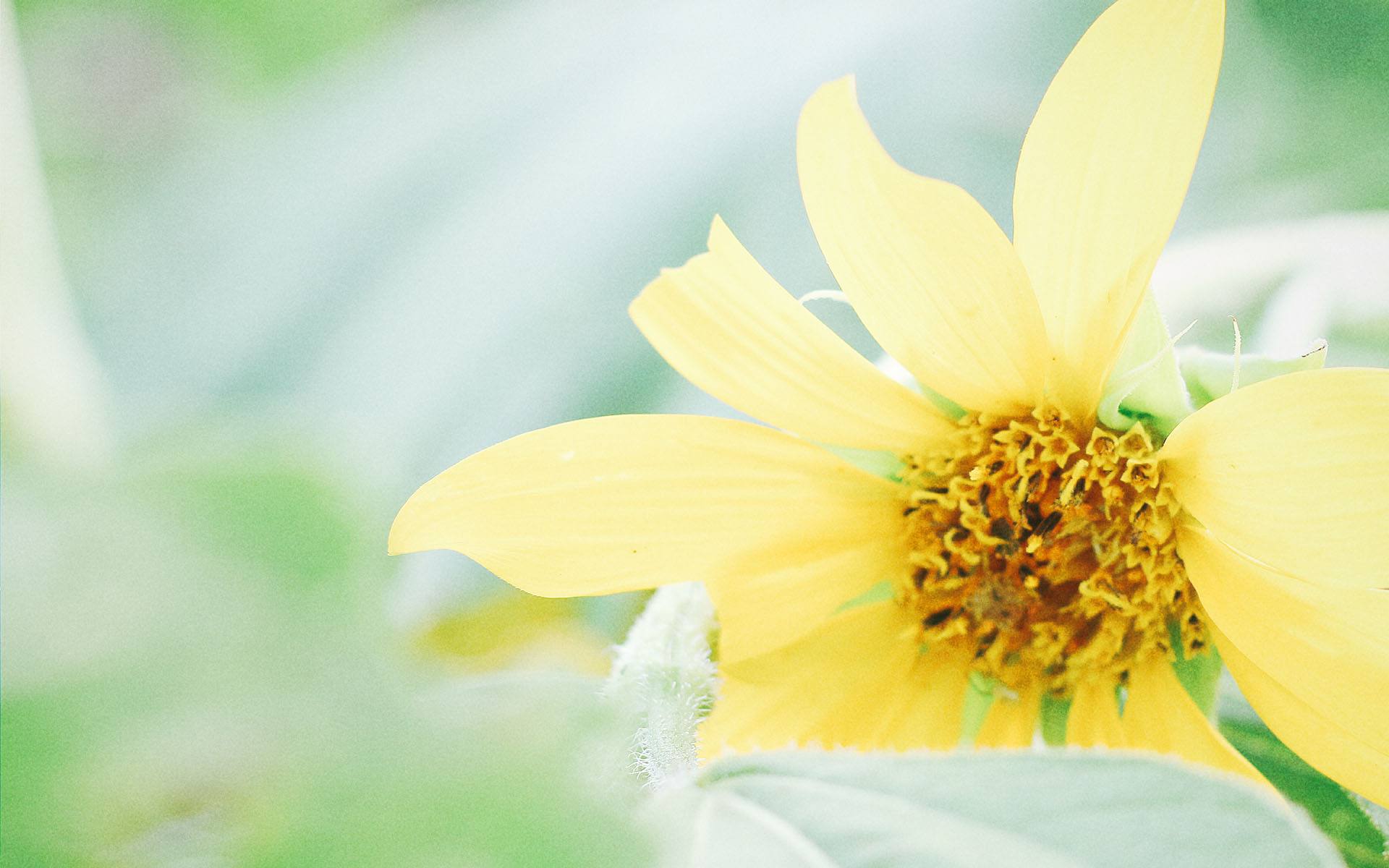 「」上厕所时小便发生分叉，原因是什么？