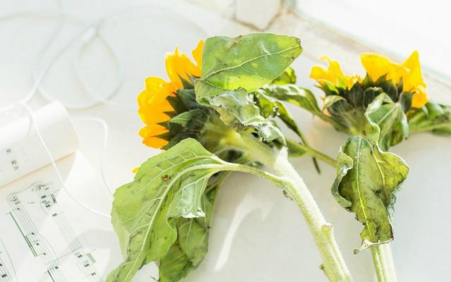 『白羊座』进入6月，跌破眼镜，出其意料，实力难测，一鸣惊人的星座