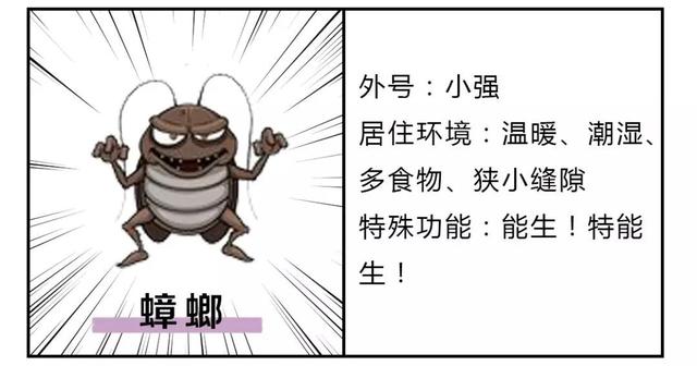 河南商报 男子整整3天没法睡觉！去医院一查吓懵：耳朵里竟有只活蟑螂