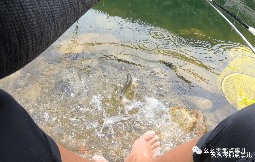 |游钓北京那点事儿：回归垂钓本质，探索鱼种资源，丰富水族知识！