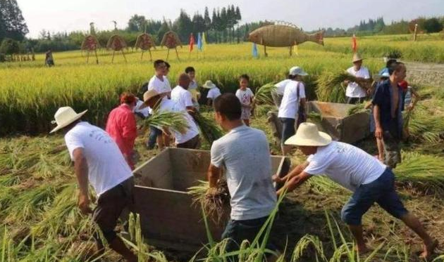 马云|马云的话又实锤了？农村3大行业将会大把赚钱，刘强东已强势布局