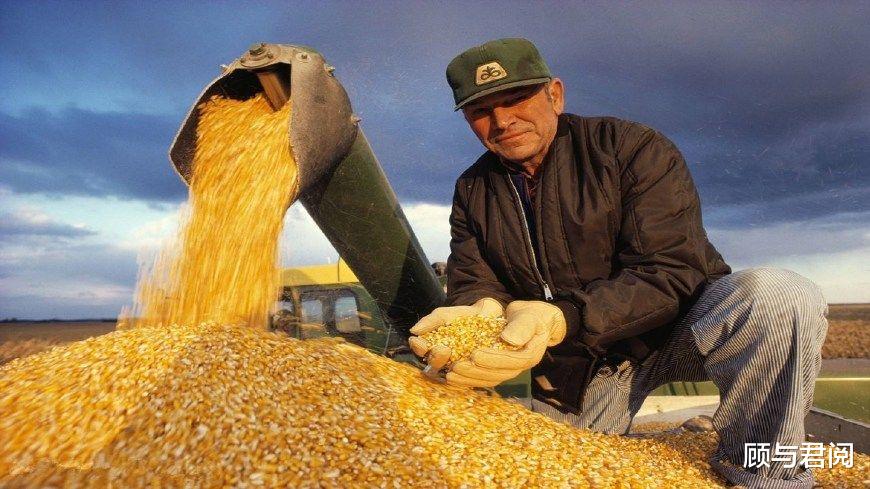 『不可告人』为何美国亏本也要把粮食卖给我们？不可告人的目的曝光，国人醒悟