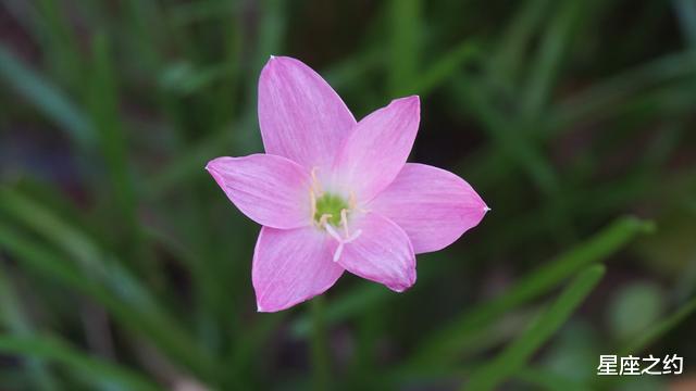 『运势』在5月下旬，幡然醒悟，倦鸟归林，终成眷属的三大星座