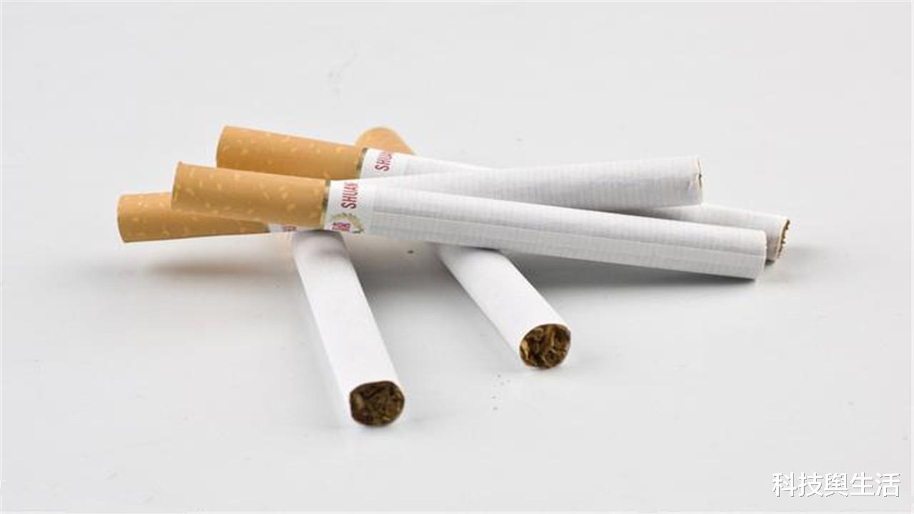 |令人又爱又恨的4大发明，本该造福人类，无意种下了恶果！