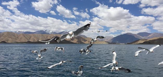 「班公湖」战略要地阿克赛钦：加勒万河被称为九龙冲、班公湖不亚于三大圣湖