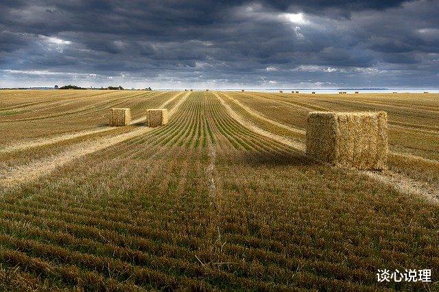 巨蟹座@两周后，思念如刀，日夜煎熬，3星座寻回旧爱，许你一生一世的好