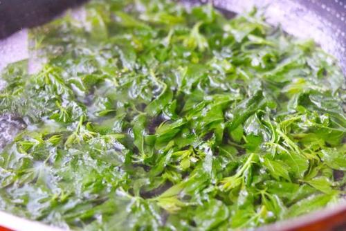 #野菜#这菜浑身都是宝，但是很多人都不懂，把它当成野草，遇到也都错过
