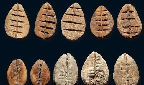 贝壳|贝壳既然是古代货币，古人为何不去海边多捡些？网友：想多了