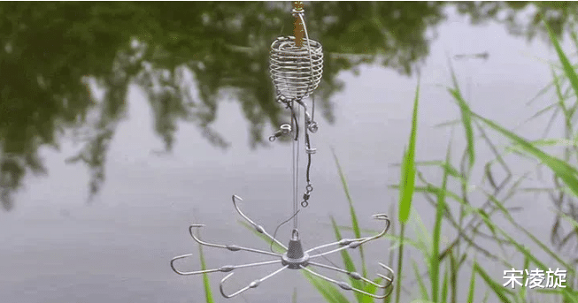 四川省|四川泸州男子锚8斤鲤鱼被判刑两个月,钓鱼人:锚鱼危害重大