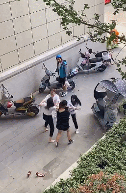 伊隆·马斯克|“如果螳螂和狮子的体型一样大,它的战斗力咋样?”答案出乎人的意料