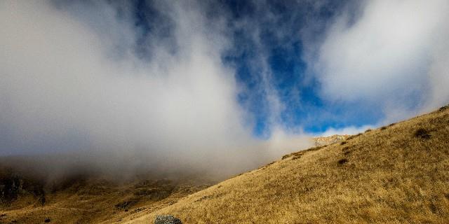 「生肖」未来20天正财运伴身，横财运临门，财运大发，八面聚财的生肖