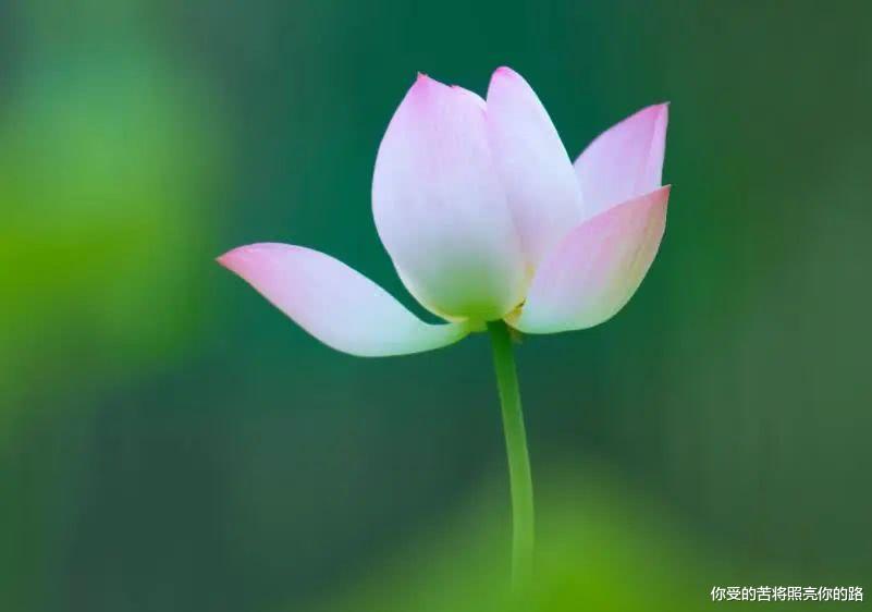 「运势」恭喜!7天内3大属相大富特富,工作如鱼得水,富贵又多金