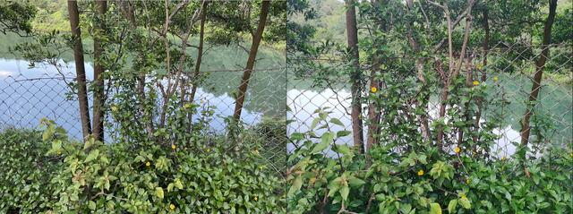 华为荣耀■暴力解锁100%性能！90Hz+麒麟820+180Hz，荣耀X10全面评测