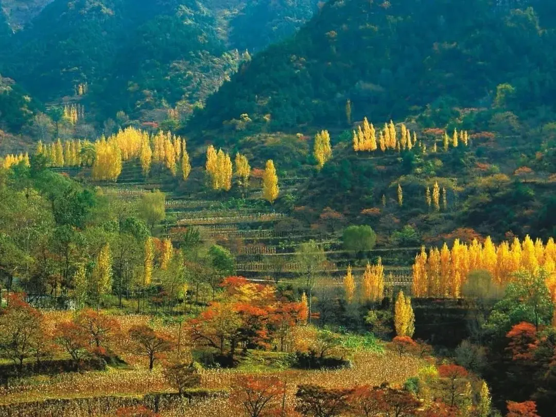 |醉赏南太行秋沟红韵，尽享童话般的世界