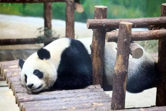 天津市|开车自驾去旅游,感受人文、享受自然!