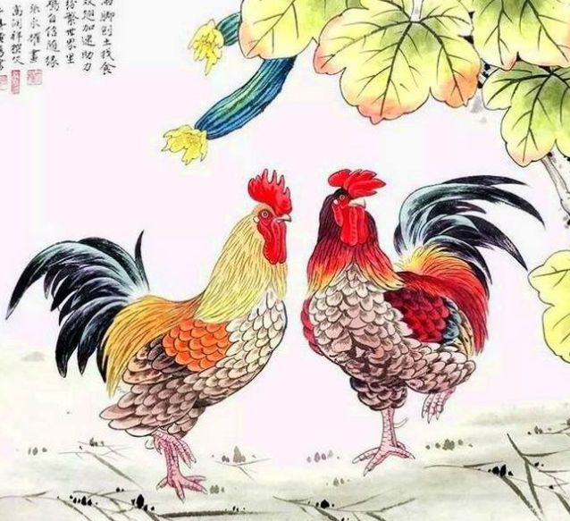 【属鸡】“天上土鸡，地上金鸡”，生肖鸡的后半辈子