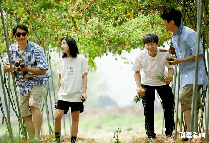 向往的生活|《向往的生活》因许光汉发声，好友团聚场面为何只剩“尬聊”？